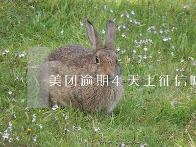 美团逾期4天上征信嘛 美团逾期4天上征信嘛