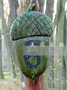 美团逾期4天影响吗 美团逾期4天影响吗