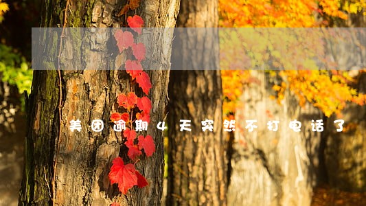 美团逾期4天突然不打电话了
