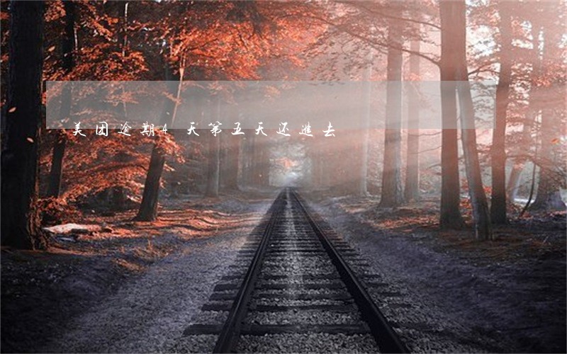 美团逾期4天第五天还进去