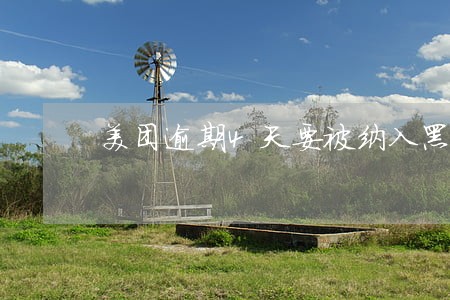 美团逾期4天要被纳入黑名单 美团逾期4天要被纳入黑名单