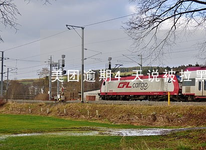 美团逾期4天说被拉黑名单 美团逾期4天说被拉黑名单