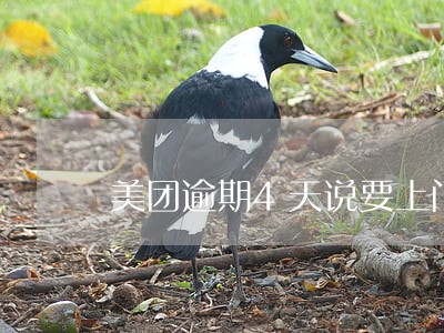 美团逾期4天说要上门 美团逾期4天说要上门