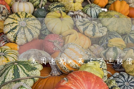 美团逾期4天还了还能借吗 美团逾期4天还了还能借吗