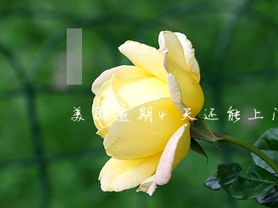 美团逾期4天还能上门吗 美团逾期4天还能上门吗