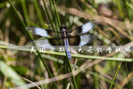 美团逾期4天还能借钱吗 美团逾期4天还能借钱吗