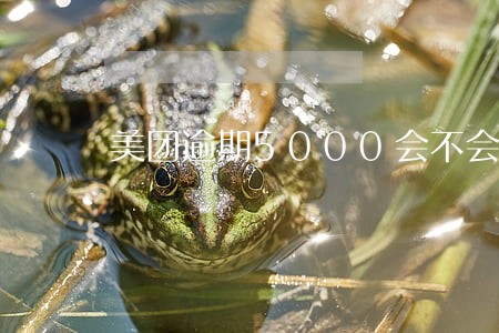 美团逾期5000会不会上门 美团逾期5000会不会上门