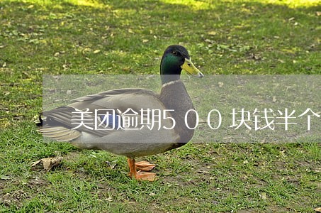 美团逾期500块钱半个月会怎样 美团逾期500块钱半个月会怎样