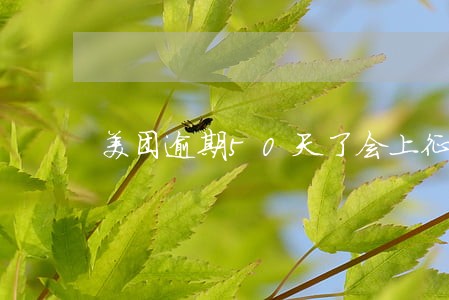 美团逾期50天了会上征信吗 美团逾期50天了会上征信吗
