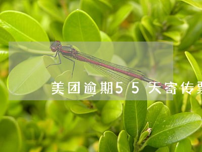 美团逾期55天寄传票了 美团逾期55天寄传票了