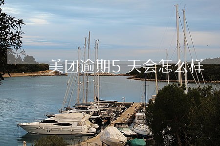 美团逾期5天会怎么样 美团逾期5天会怎么样
