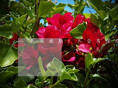 美团逾期5天会有催收函吗 美团逾期5天会有催收函吗