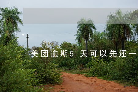 美团逾期5天可以先还一点吗 美团逾期5天可以先还一点吗