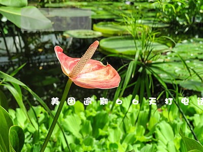 美团逾期66天打电话说上门 美团逾期66天打电话说上门