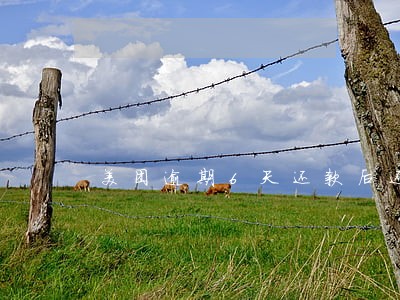 美团逾期6天还款后还能取出来不 美团逾期6天还款后还能取出来不
