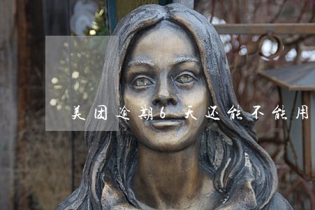 美团逾期6天还能不能用 美团逾期6天还能不能用