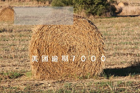 美团逾期7000 美团逾期7000