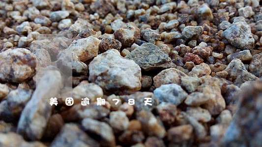 美团逾期78天