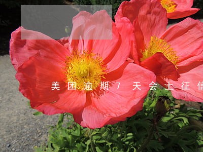 美团逾期7天会上征信吗 美团逾期7天会上征信吗