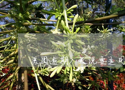 美团逾期7天说要走司法 美团逾期7天说要走司法