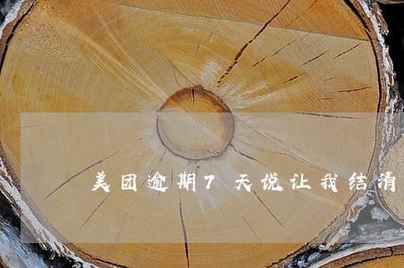 美团逾期7天说让我结清全款 美团逾期7天说让我结清全款