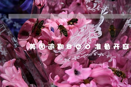 美团逾期800准备开庭 美团逾期800准备开庭