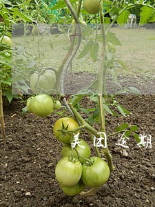 美团逾期8天会上门吗 美团逾期8天会上门吗