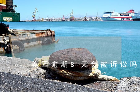 美团逾期8天会被诉讼吗 美团逾期8天会被诉讼吗