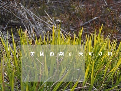 美团逾期8天可以吗 美团逾期8天可以吗