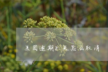 美团逾期8天怎么取消 美团逾期8天怎么取消