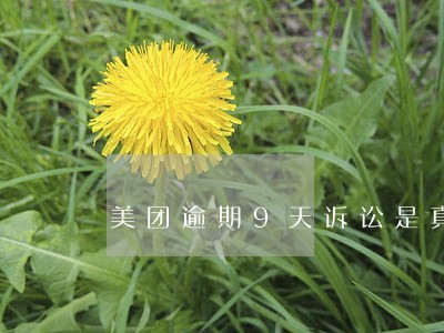 美团逾期9天诉讼是真的吗 美团逾期9天诉讼是真的吗