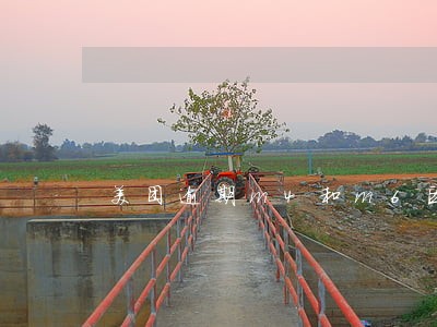 美团逾期m4和m6区别 美团逾期m4和m6区别
