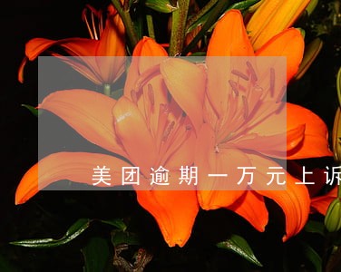 美团逾期一万元上诉了怎么办 美团逾期一万元上诉了怎么办