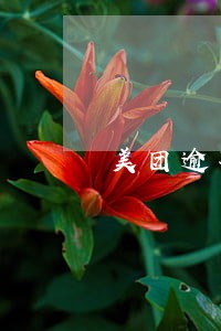 美团逾期一万变两万 美团逾期一万变两万
