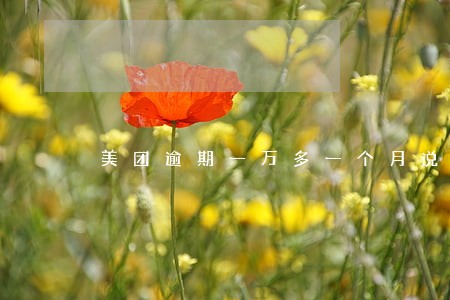 美团逾期一万多一个月说立案