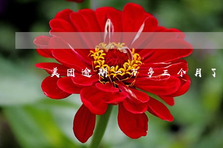 美团逾期一万多三个月了 美团逾期一万多三个月了