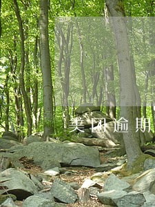 美团逾期一万说要上门走访 美团逾期一万说要上门走访
