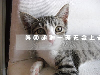 美团逾期一两天会上征信吗 美团逾期一两天会上征信吗