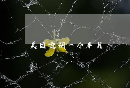 美团逾期一个半月 美团逾期一个半月