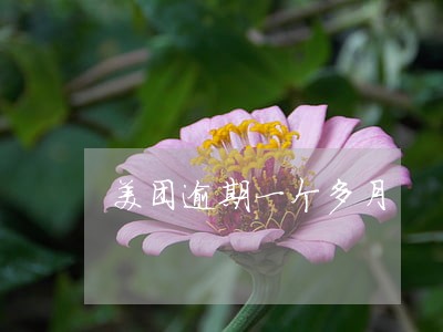 美团逾期一个多月 美团逾期一个多月