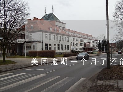 美团逾期一个月了还能申请吗 美团逾期一个月了还能申请吗