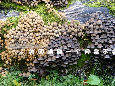 美团逾期一个月会不会上法庭 美团逾期一个月会不会上法庭