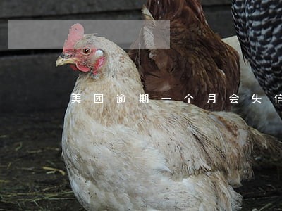 美团逾期一个月会失信吗 美团逾期一个月会失信吗