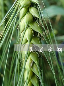 美团逾期一个月会家访吗 美团逾期一个月会家访吗