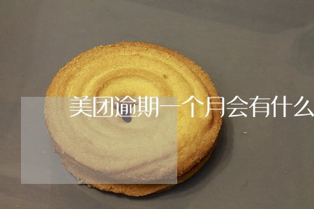 美团逾期一个月会有什么后果 美团逾期一个月会有什么后果