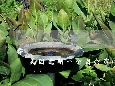 美团逾期一个月会有问题吗 美团逾期一个月会有问题吗
