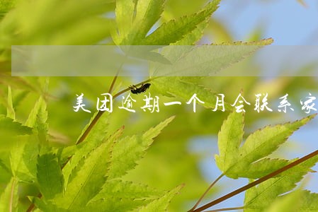 美团逾期一个月会联系家人吗 美团逾期一个月会联系家人吗