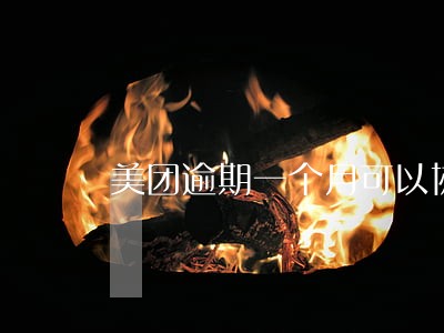美团逾期一个月可以协商还本金吗 美团逾期一个月可以协商还本金吗