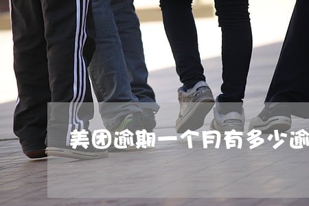 美团逾期一个月有多少逾期费用 美团逾期一个月有多少逾期费用