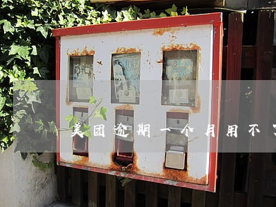 美团逾期一个月用不了美团了 美团逾期一个月用不了美团了